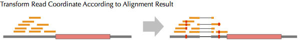 Transform coordinate